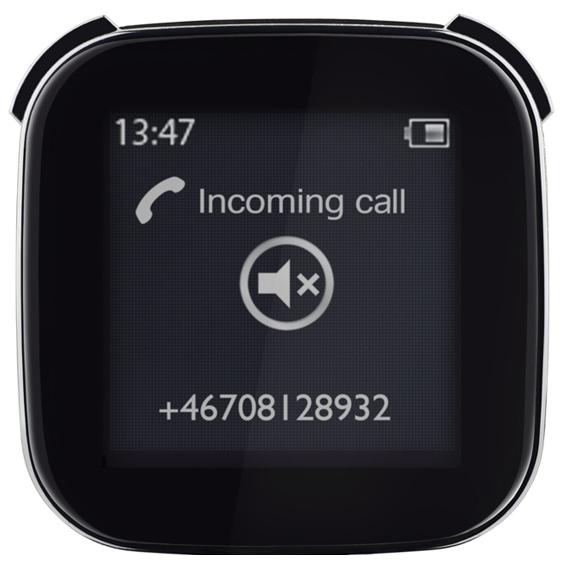 LiveView_Incoming_Call