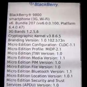 BlackBerry OS v6.0.0.100